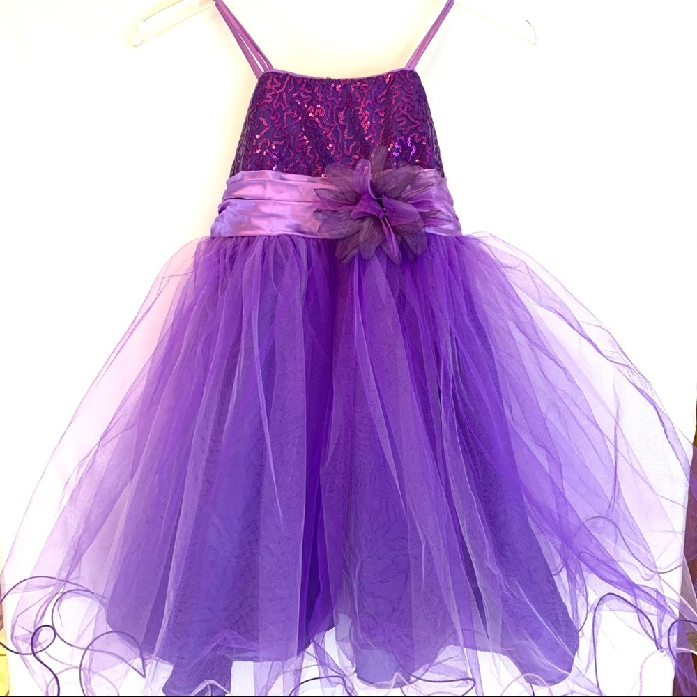 Cinderella Couture Purple Princess Dress